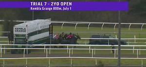 019a2412-cd68-751c-9f73-9bcb643fc3f8-20251029035117