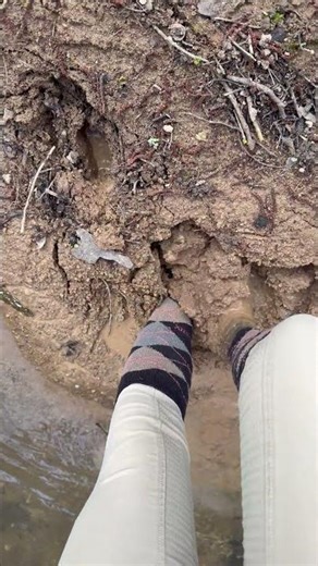 A short walk in riding socks and competition breeches