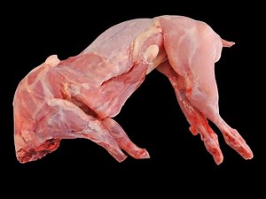 10 Great Health Benefits of Rabbit Meat