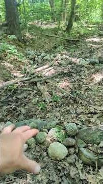 How To control Erosion and Gullies #shorts #homestead #erosioncontrol #erosion