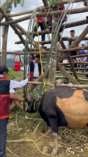 Solung Gidi #solung #festival #northeastindia #tribal #shorts #youtubeshorts #shortsfeed