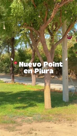 Disfruta del Verano en Piura: Piscinas Gratis y Diversión