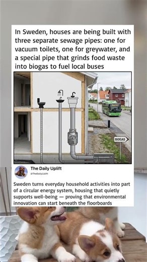 Sweden’s brilliant circular plumbing system powers buses using household waste
