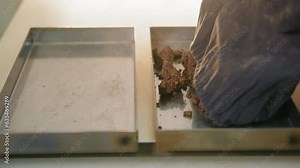 Laboratory Scientist placing Soil on two Containers. Male Technician in Rubber Gloves shaking Textile Bag with Samples of Ground Material. Experimental Analysis Concept