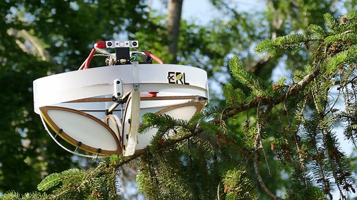 This drone developed by ETH Zürich lands on the bounciest branches and collect environmental DNA to help monitor biodiversity in harder-to-reach terrestrial ecosystems, such as forest canopies Learn more: https://www.newscientist.com/article/2355152 | New Scientist