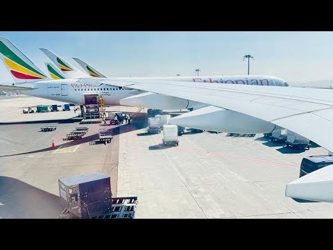 ✈️ Night Flight View Live Loop | Relaxing Airplane Night View | 24/7 Live#Rajkarwa87