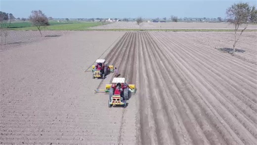 Exploring the Benefits of Maize Machines for Growth