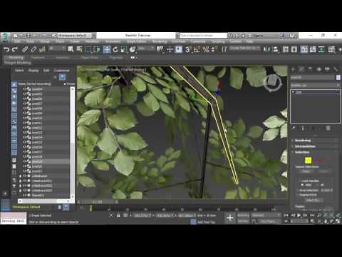 Modeling Foliage for a Tree in 3ds Max