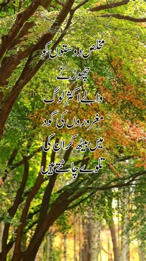 The fate of those who abandon sincere friends 😔 | Where does pride take a person? | Reality