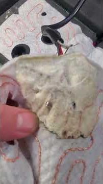 Ford Explorer heated seat not working