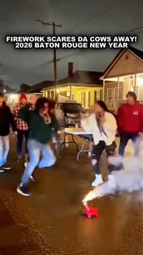 "EXPLOSIVE NEW YEAR: COWS, CHAOS, AND CAR ALARMS!" This just in... Baton Rouge has officially kicked off 2024 with a tumultuous bang! Last night, as friends gathered to celebrate New Year’s Eve with fireworks, the unexpected took center stage as everything seemed to go off without a hitch—until it didn’t! What started as a fun night of crackling fireworks turned into an impromptu comedy show as an explosion sent everyone ducking for cover! Imagine the scene: the camera shakes with excitement as