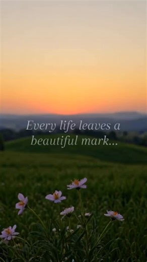 Alvarez Memorial Home - Kearny NJ ❤️ #funeral #kearnynj #Harrisonnj #northarlingtonnj #eastnewarknj | Alvarez Funeral Home