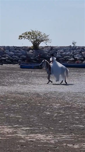 Bride in a wedding dress riding a horse on the beach
