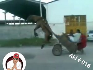 957K views · 20K shares | 臘‍♂️臘‍♂️ | Aki Éh 016 | Facebook