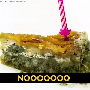 This video is a fascinating time-lapse of how food goes from being delicious and edible to... well, not. | TRFM