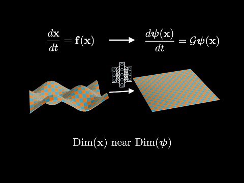 Automated Global Analysis of Experimental Dynamics through Low-Dimensional Linear Embeddings