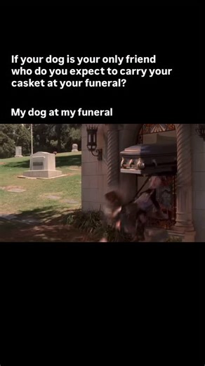 38K views · 508 reactions | My dig can carry heavy things . He’s been carrying the weight of my mental stability from day one. . #dog #dogs #dogtraining | Lobato Dog Training | Facebook