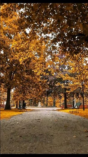 Autumn Park Pathway Covered in Golden Leaves