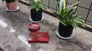 Watch How To Use The Perpetual Motion Machine Simulator Correctly? on Amazon Live