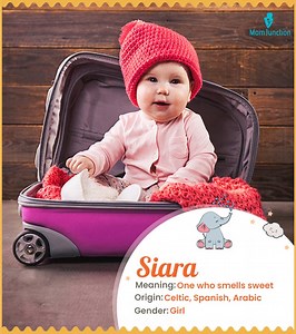 Siara Name Meaning, Origin, History, And Popularity