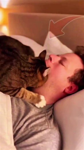 এটা কি হলো? 😳