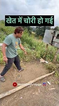 Khet Me Chori Ho Gayi 😓 #mohitdhurvvlogs #chhindwara #farmerlife #farming #agriculture #yt_shorts