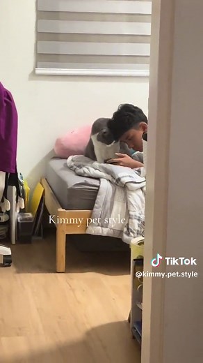 Kimmy Pet Style (@kimmy.pet.style)’s videos with original sound - Kimmy Pet Style