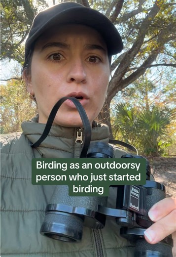 Birding Basics: Tips for Beginners in Florida