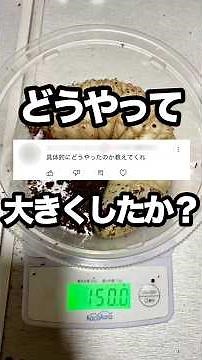 【どうやってヘラクレスの幼虫を大きくしたか？】 #ヘラクレスオオカブト #ヘラクレス #カブトムシ #クワガタ #ヘラクレス飼育 #昆虫 #insects #beetle #hercles