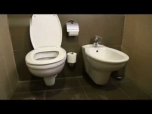 Toilet Repair: Easy Fixes for Common Problems