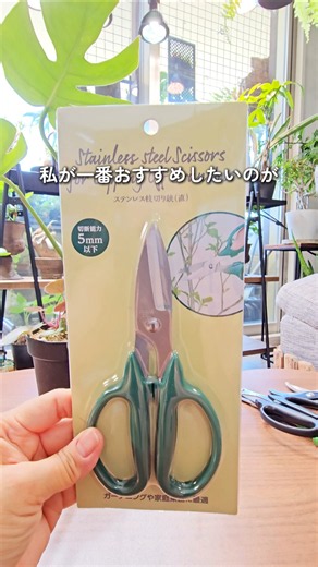 みんな園芸用ハサミ、どれ使ってる？最初はコレからで十分✂️ダイソーで買ってみよう✌#観葉植物 #ダイソー #観葉植物のある暮らし #plants #daiso
