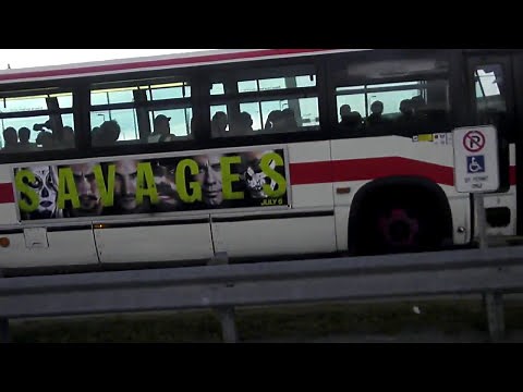 TTC - 1998 Novabus RTS 7200-7251 Collection part 2