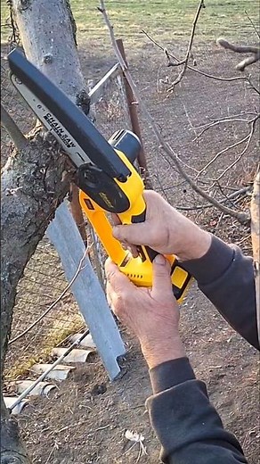 Cordless Mini Chainsaw Review Best Tool for Pruning Trees and Shrubs! #diy #woodworking #chainsaw