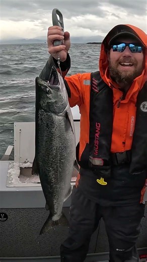 Let's Get A Weight On This King! #alaska #salmonfishing #juneau #kingsalmon #alaskafishing #shorts