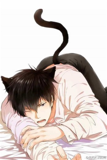 Exploring the Catboy and Puppyboy Phenomenon