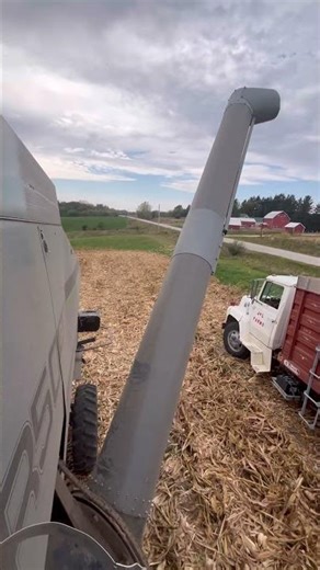 GLEANER COMBINE UNIQUE AUGER SYSTEM