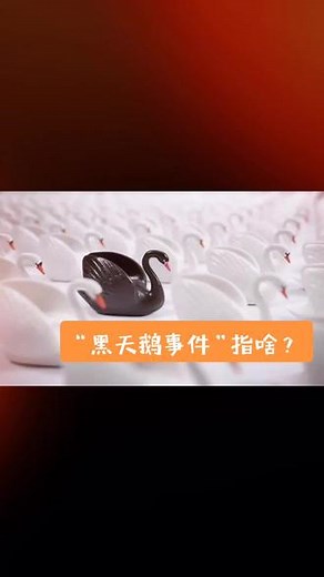 什么是“黑天鹅事件”？什么是“灰犀牛事件”？