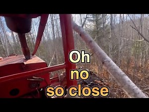 Trespassers problem and got hit by a tree on the timberjack skidder