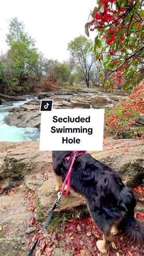 Discover a Hidden Gem: Secluded Swimming Hole in Outback Australia