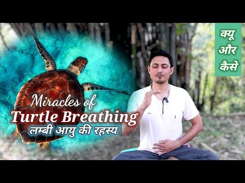 Uncover the Secret of Long Youth - Turtle Breathing!