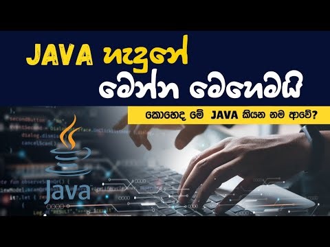 Java හැදුනේ මෙන්න මෙහෙමයි | The history of java