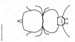 Simple images of insects change one after another. Animation is suitable for entomology, biology, ecology design and for companies dealing with pests.