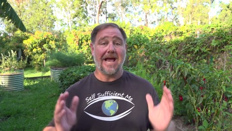 Best of Self Sufficient Me in 2019