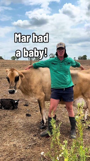 Heartwarming Moment: Ma the Cow Welcomes a New Calf