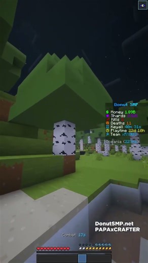 DONUT SMP Minecraft TP to Viewer 32