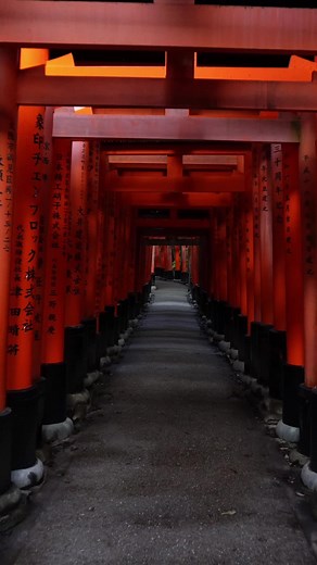 京都の景色はやっぱりいいですね〜✨ どこも最高でした🥰 The views in Kyoto are truly beautiful aren't they Everything was simply the best🥰✨ #japantravel #japantrip #京都 #京都観光 #京都旅行