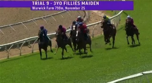 Milburn Creek graduate, Hell Of A High had a strong trial this morning at Warwick Farm for trainer @bjornbakerracing. She was a @magicmillions National Yearling Sale graduate, purchased by Omen Bloodstock and Wilbert Tan. She is kicking off her career in a promising way and we’re excited to see what is to come 🔥 | Milburn Creek