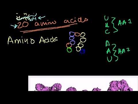DNA Lesson - Khan Academy