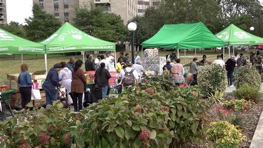 Nonprofit rescues food from going to waste, provides it to those in need.