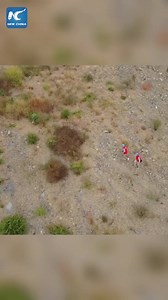21K views · 183 reactions | A fixed-wing unmanned aerial vehicle (UAV) is used in power line inspection work in Hubei, China. #UAV #Technology | China Xinhua Sci-Tech | Facebook